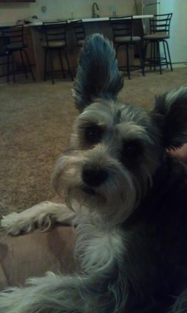 /Images/uploads/Humane Society of Utah/HSUCalendar/entries/629thumb.jpg